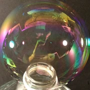 Dawn Pro at 8:1 (water:detergent) with Edward's longevity test setup