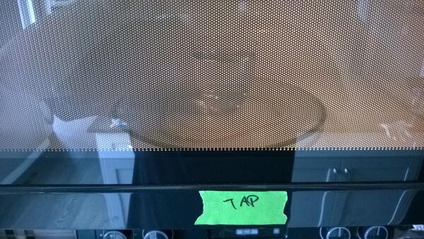 Sludge experiment1 5 hydration 3