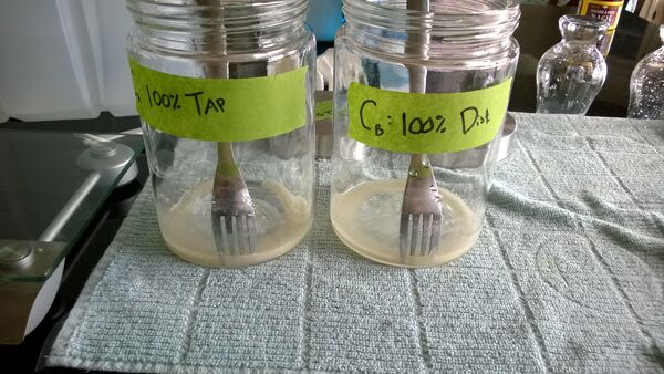 Sludge experiment1 5 hydration 4
