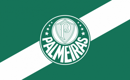 Sociedade Esportiva Palmeiras | Soccer Team Wiki | Fandom