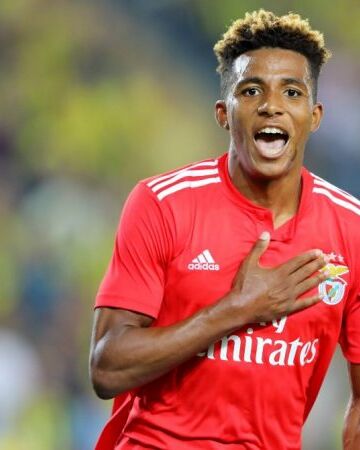 Gedson Fernandes Soccer World Wiki Fandom