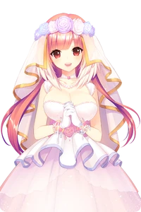 Wedding Dress Selena/Gallery Soccer Spirits Wiki Fandom