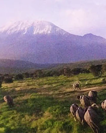 Mount Kilimanjaro Society Of Explorers And Adventurers Wiki Fandom