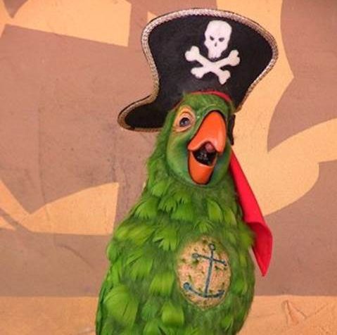 Pirate Parrot - Wikipedia