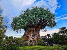 Disney Animal Kingdom (27589660700).jpg