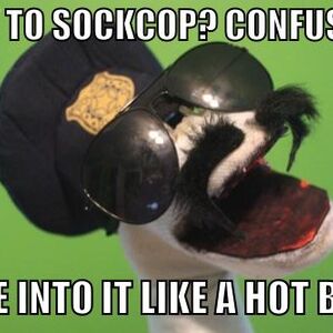 Sock Cop Memes Sock Cop Wiki Fandom
