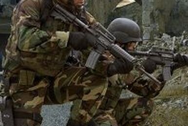 SOCOM U.S. Navy SEALs: Fireteam Bravo - Wikipedia