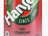 Hansen’s Soda Brand