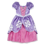 Disney Sofia Costume