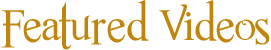 Videobanner.png
