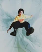 Cartwheels 005.jpg (114 KB) Image