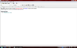 Screenshot of Wordpad.