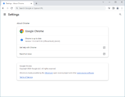 Screenshot of Google Chrome.