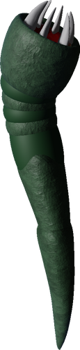 Sand Leech