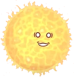 Sun