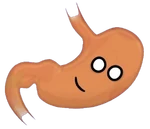 Stomach 150x150