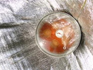 6) Pot en fonctionnement