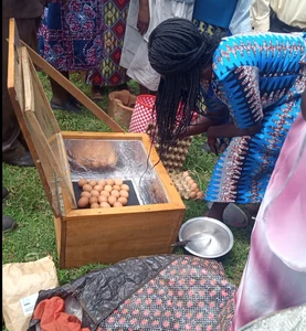 Eggs are cooked in a solar box cooker