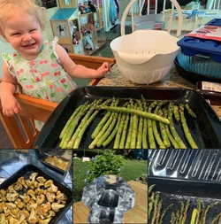 Broiler pan w-lid photo, Shopie Brock, 6-24-21