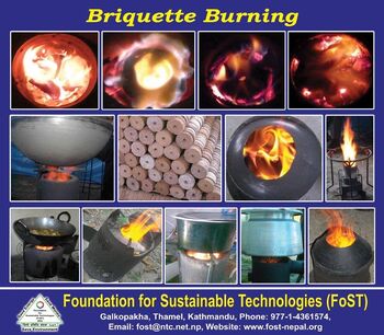 Briquettes burning - FoST 2019