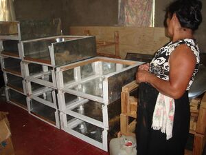 Solar Women of Totogalpa cooker production