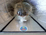 Fig. 5. Popot scout dans le sac