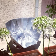 Fun-Panelo: Disvolvita