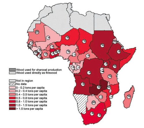 Fuelwood-charcoal consumption in Africa, 2-20-13