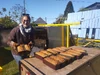NeoLoco 1, 4-24-26
