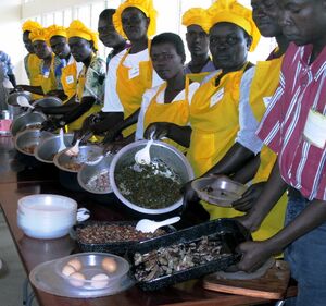 Nyakach trainers ready to serve solar cooked food