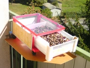 4) Champignons de Paris secs