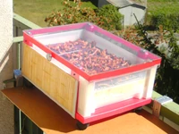 Mini-séchoir  utilisé à Czestochowa en  (séchage de girolles)