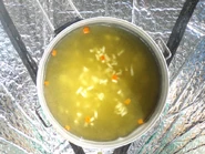 Fig. 23. Bouillon instantanée de poulet (0,5 l)