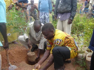 Reboisement au Burkina Faso