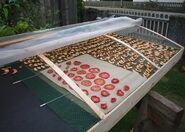 Small scale solar food dryer.