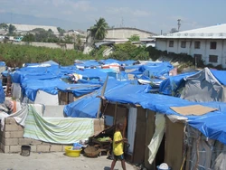 2 17 0051.jpg (171 KB)