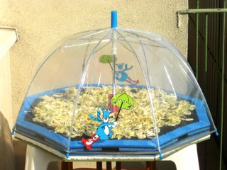 Séchoir solaire ParaSec