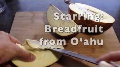 Breadfruit_and_solar_cooker_in_40_seconds