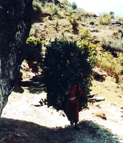 Klaus Schulte 2003 3