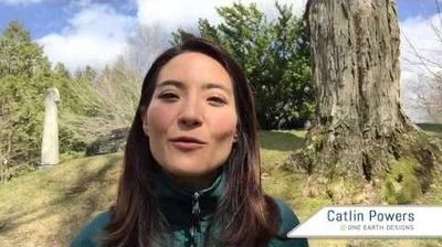 Earth_Day_From_Woodfire_to_Sunlight