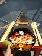 Newton Solar Oven 2