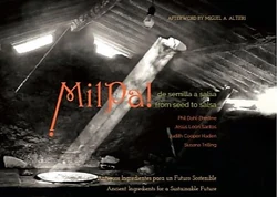 Milpa from Seed to Salsa