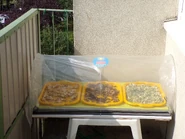 Séchoir en action sur le balcon