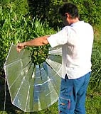 Collapsible Parabolic Cooker: English, Spanish