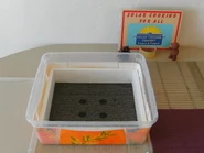 4) Intérieur du séchoir