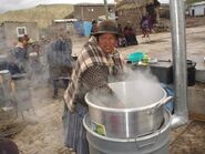 CEDESOL rockit stoves in Bolivia, 12-21-12