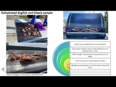 S2B4_Beatriz_Castillo-Téllez_et_al._(Mexico)-_Dehydrated_fish_waste_for_biofertilizers-2