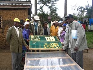 Energy Globe Award 2006 food drying