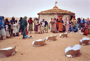 All 17,000 refugees at the  in Chad eat solar cooked food.