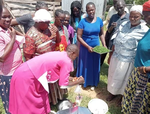 Various foods are shown to use with solar cookers